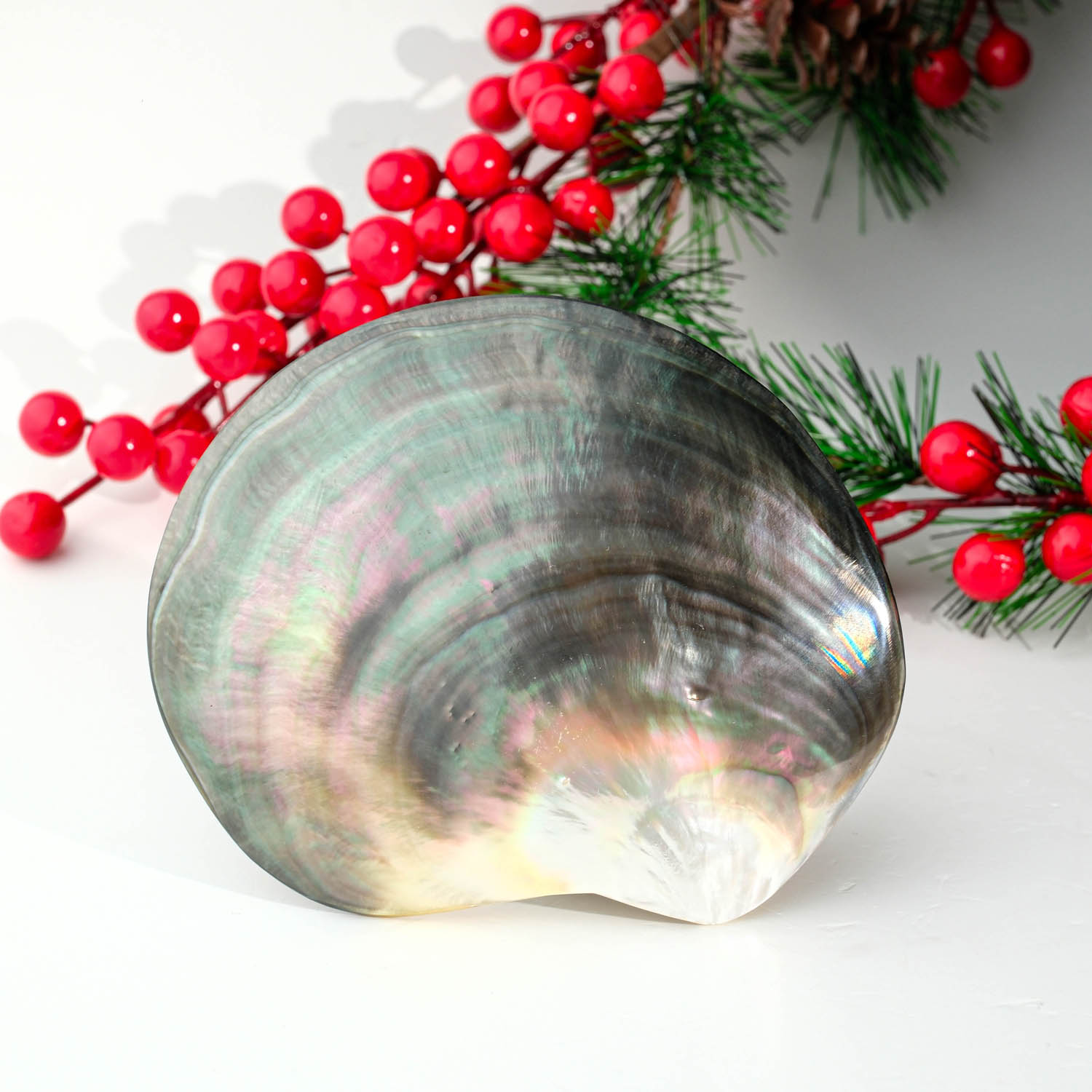 konya-dogaltas-evi-nadir-kabuk-sedef-dogal-tas-ham-parca